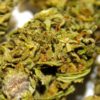 Infiorescenze cannabis legale Antal