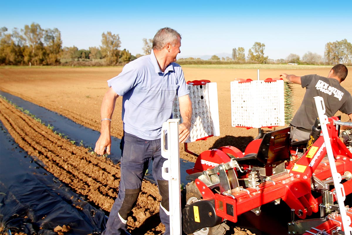 Canapa Orto di Roma Parsec Agri Cultura