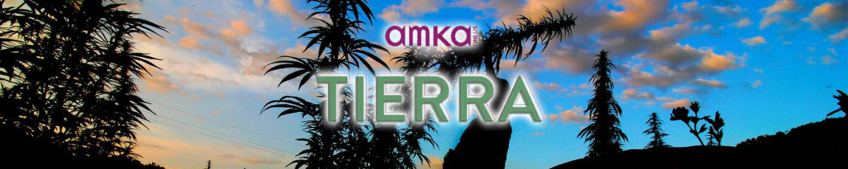 Evento Tierra OHF con Amka